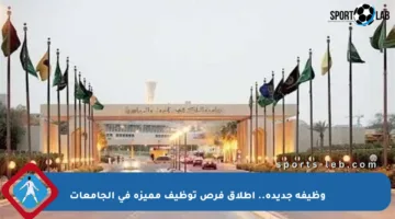 وظيفة جديدة.. إطلاق فرص توظيف مميزة في الجامعات